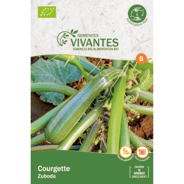 Graines de Courgette Zuboda Bio - Sachet de 10 graines à planter - Semences Vivantes