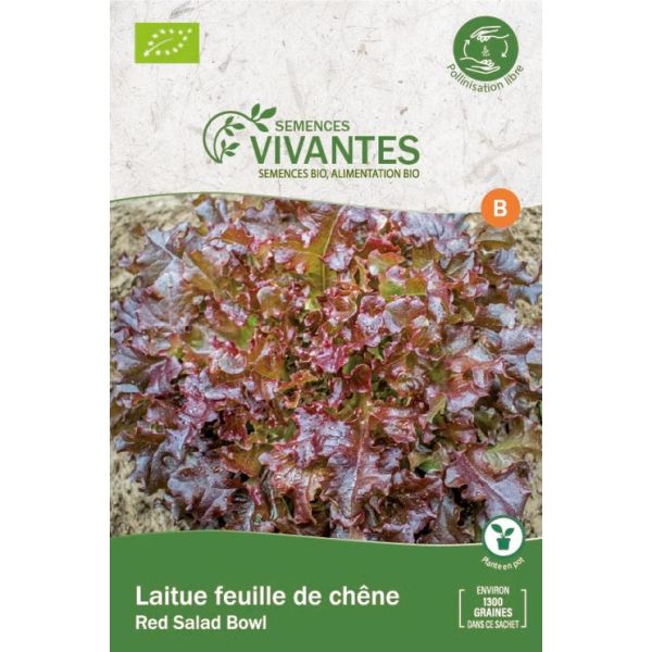 Graines de Laitue feuille de Chêne Red Salad Bowl Bio - Sachet de 1300 graines à planter - Semences Vivantes