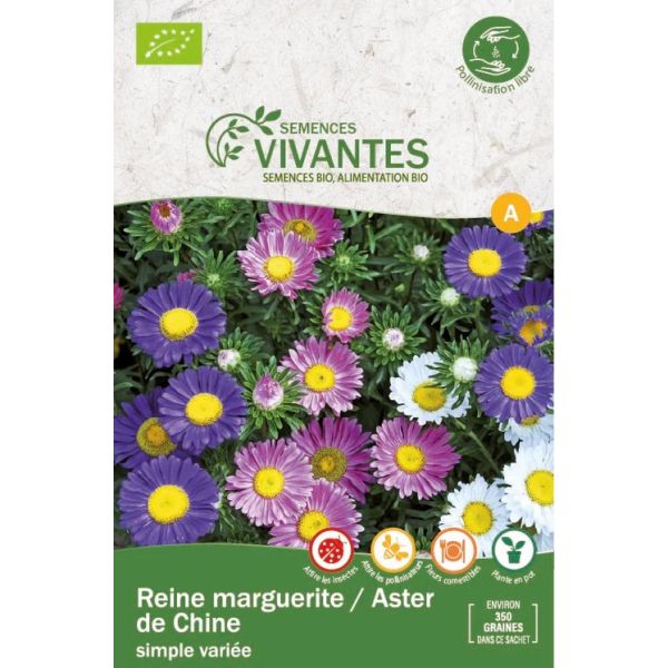 Graines de Reine marguerite Bio / Aster de Chine Simple variée - Sachet de 350 graines à planter - Semences Vivantes