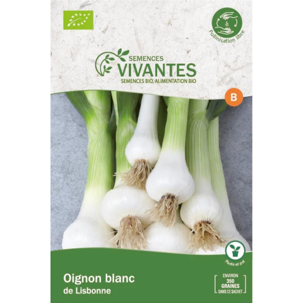 Graines de Oignon blanc de Lisbonne Bio - Sachet de 350 graines à planter - Semences Vivantes